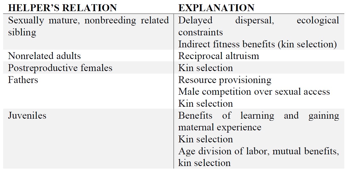 Table 1 - Types of relatedness and their explanations